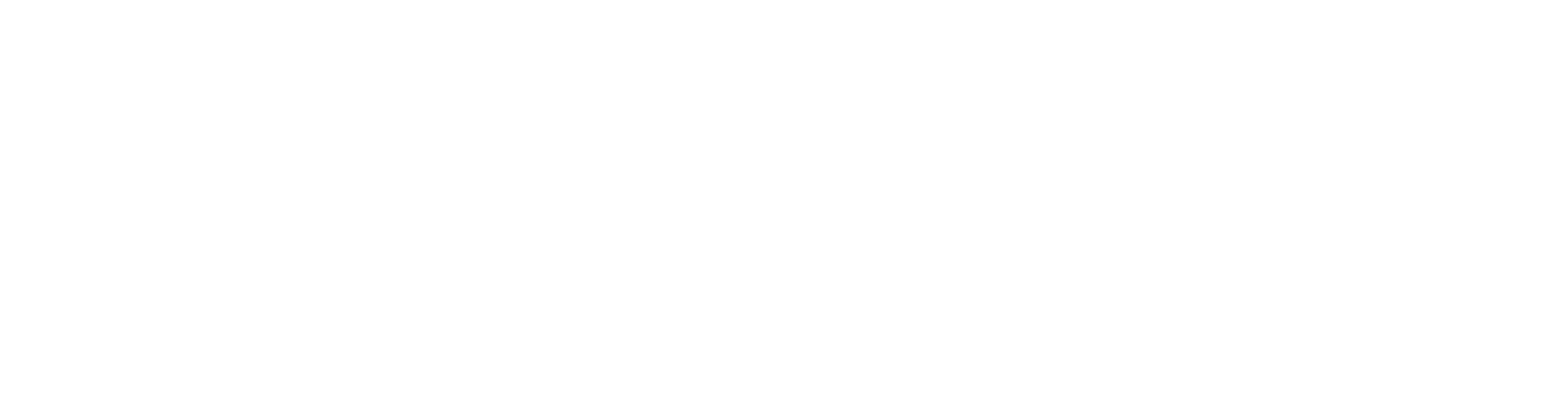 Smatfox Logo